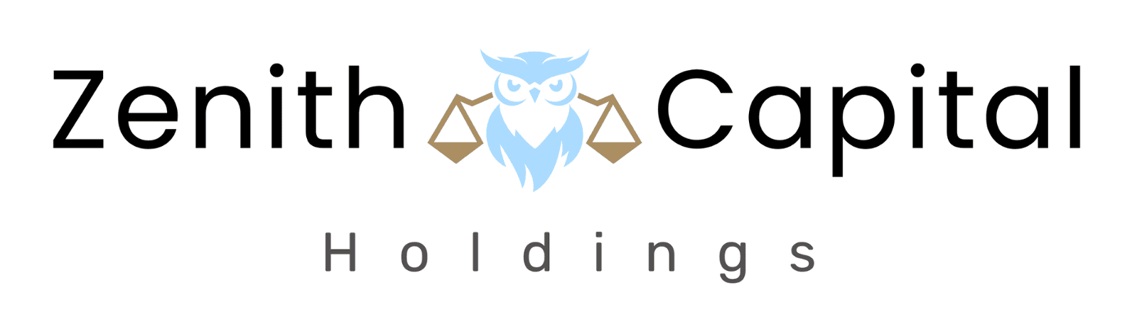 zenithcapitalholdings.com